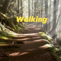 VocalTone - Walking