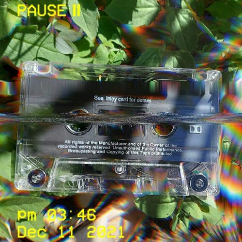 i found this mixtape at the park