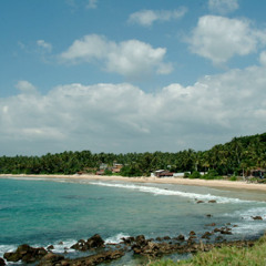Nature Coast Beatz