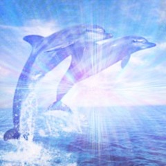 Dive In Prod Ivvys