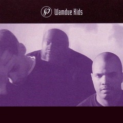 Wamdue Kids - These Branching Moments