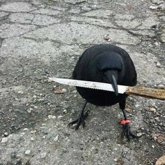 supercalifragilistic freestyle