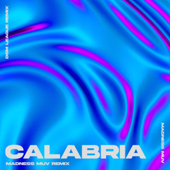 Enur feat. Natasja - Calabria (Madness Muv Remix New Year's 2024 Countdown Edit)