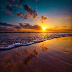 Sonic Session Vol 1010