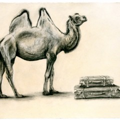 A Penguin Drawing