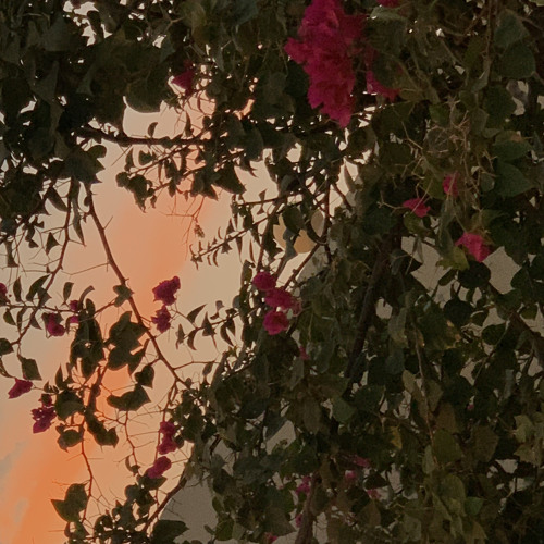 ‎⁨قباب الحق⁩