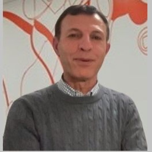 چرا نه شاه نه شیخ؟