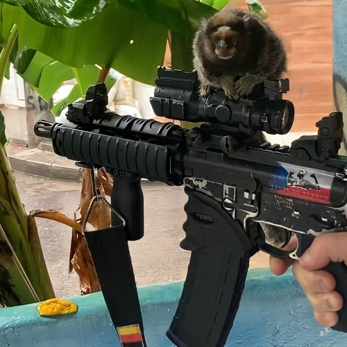 MC URUBUZINHO DOKINHA E FL REALIDADE DO PINHEIRO VILA DO JOAO E TIMBAU 🦍🇵🇭🇩🇪🥉
