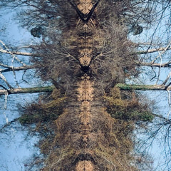 Work It Out - Willow Beats (Bryson Edit)