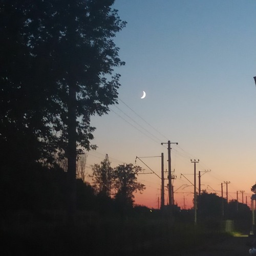 Late Evening Walk