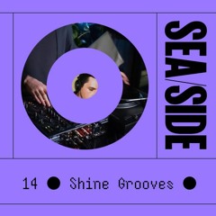14 - Shine Grooves