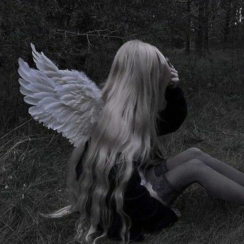 𝑃𝑜𝑢𝑡𝑒𝑟 - 𝑠𝑘𝑖𝑝