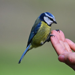 2025 11 08 BBC radio London_0034