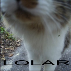 Bliss And Stupidity black dresses remix