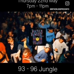 In The Blood - Bunker Sessions 93 - 96 Jungle (Buckle Bunker Studio)