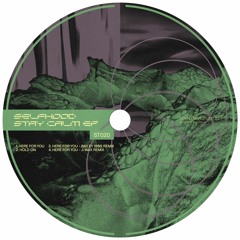 Selfhood - Stay Calm EP (Snippets) (ST020)