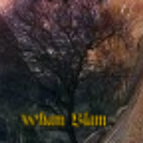 WhamBlam in the Studio - SOJB