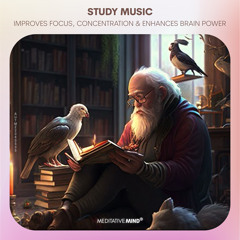 ⌘ Study Music ⌘ Improves Focus, Concentration ⌘ Enhances Brain Power with Alpha Waves Studying Music