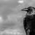 Artwork for Nevermore