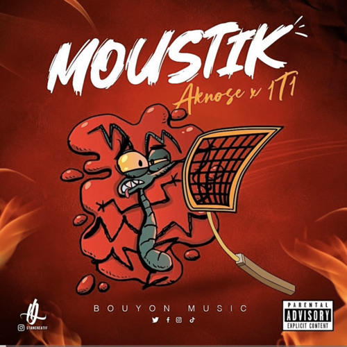 Aknose -Moustik 1t1
