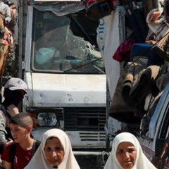 Stop The Gaza Genocide (M_V Vox Anthem)
