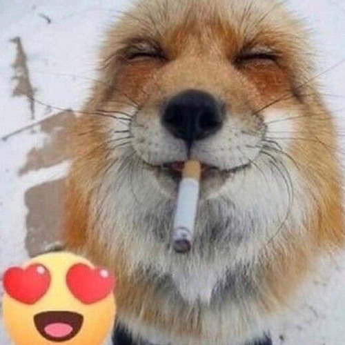 não sou perfeito