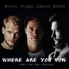 Kygo, Avicii - Where Are You Now ft. Calum Scott (Lost Frequencies Kygo Avicii Forever Yours mashup]