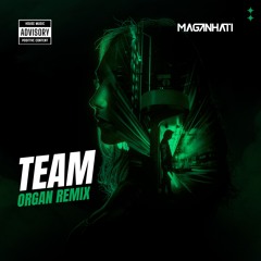 Lorde - Team (Maganhati Organ Remix)