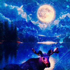 Elk in the Moonlight (Remix)