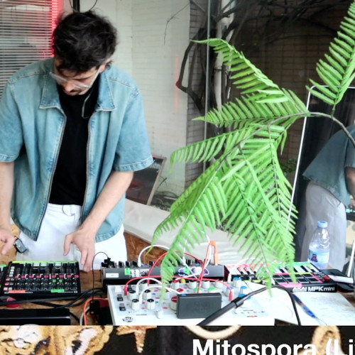 Mitospora: LIVE Set from CDCR, August 2025 // Fade out was a genre... (Ep. 5)