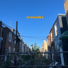 Aromatics (Unmixed / Unmastered)