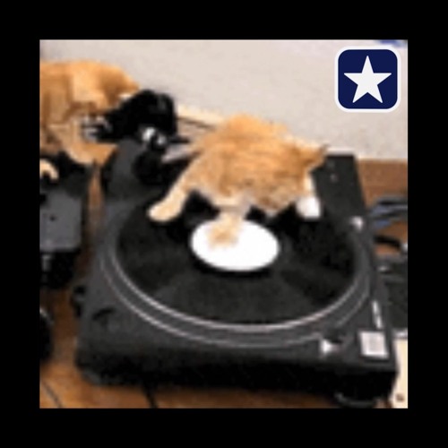 Stream Faneto Critical [Chief Keef x RXK Nephew mashup] - Lukrrr by