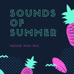 Summer Mini Mix 20’