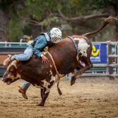 Melee Report - Mercury in Gatorade in Taurus