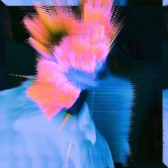 THE GHOST IN THE MACHINE