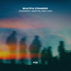 Beautiful Strangers