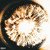 Artwork for B2colds - Paul Revere (P. SirZoid)