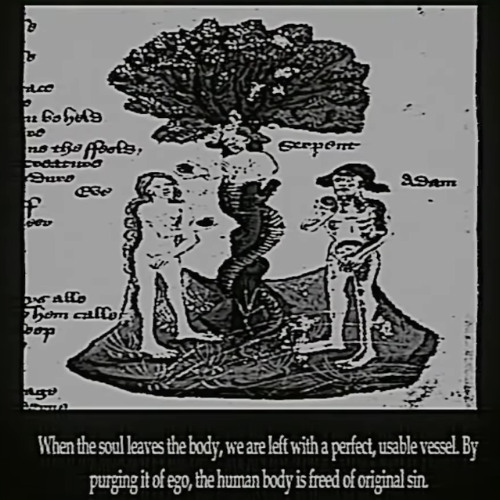 Metaphysical Epistemology (clip)