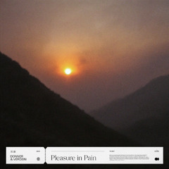 Donner, VERDEIN - Pleasure in Pain