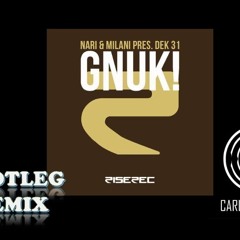 Nari & Milani - Gnuk (Carlos Ladeira Bootleg) Filtered