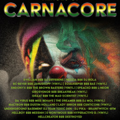 Dj Graat B2B The Mad Scientist @ CarnaCore 2025 - vinyl