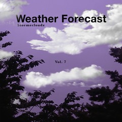 Weather Forecast Vol. 7