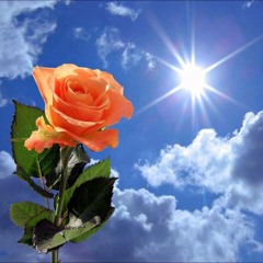 ECCO IO FACCIO UNA COSA NUOVA