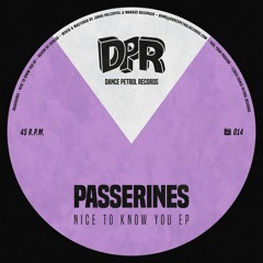 PREMIERE: Passerines - Is It Wrong To Be Hopeful [Dance Petrol Records]