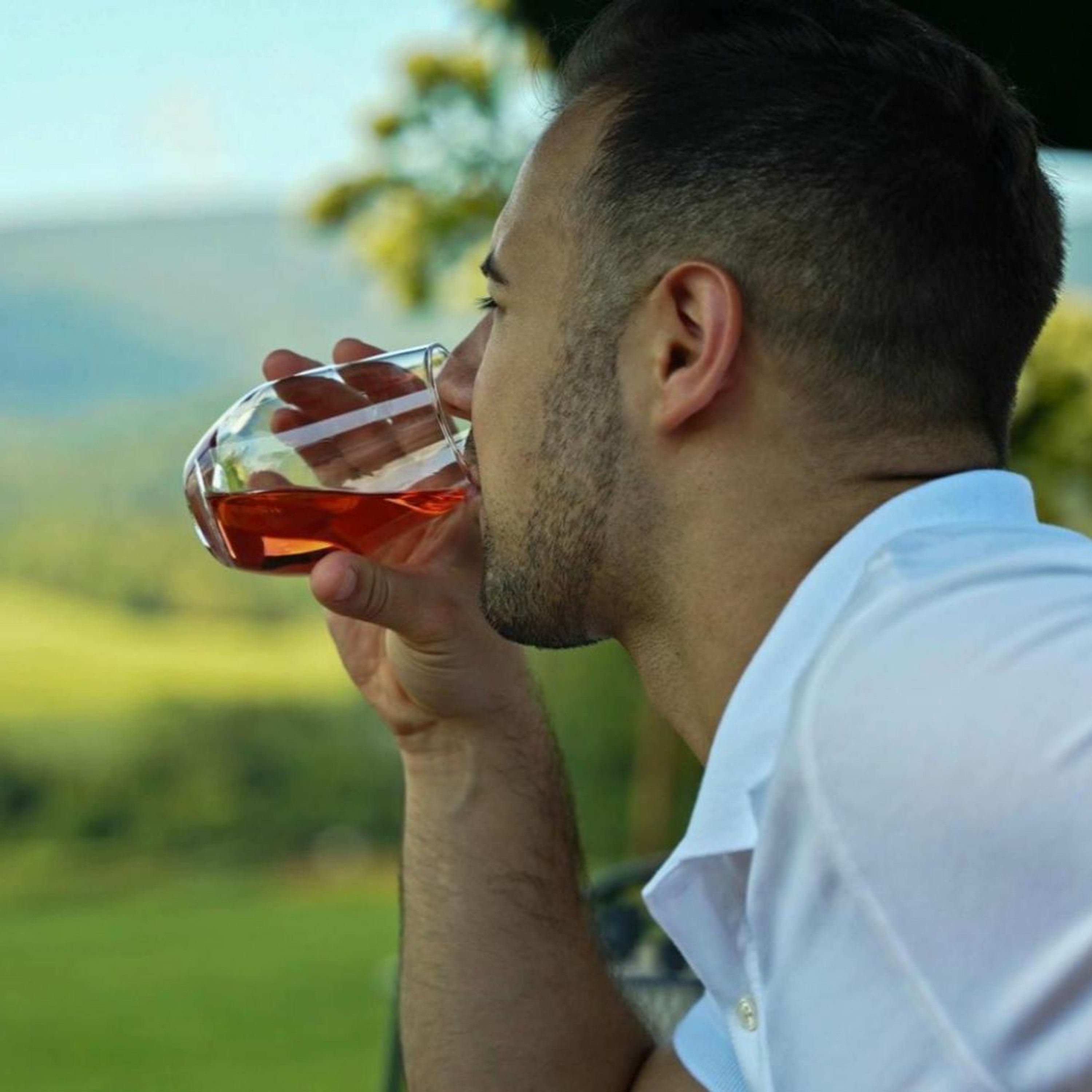 The Wonderful World of Wine (WWW)