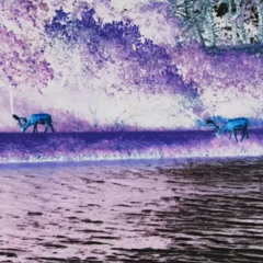 Lonely Prod. by fukkfaith