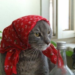 Abuela miau miau miau