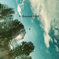 A Quantum Robin
