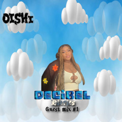 Decibel diaries- Guest mix #1
