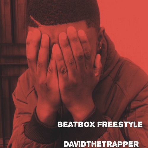 Beatbox Freestyle by Davidthetrapper